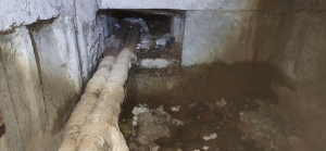 587505323_1428262785442010_2640219242598200488_n